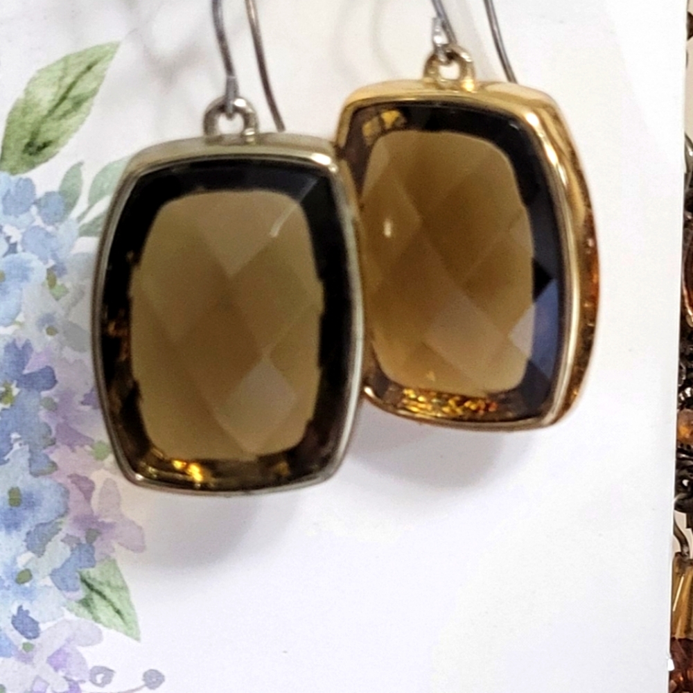 Elegant Gold and Silver Framed Earrings
